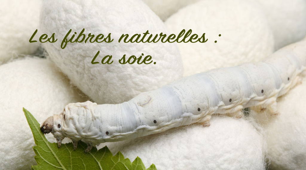 Les fibres naturelles : La soie